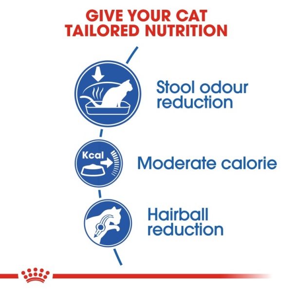 Royal Canin-Feline Health Nutrition Indoor - Image 3