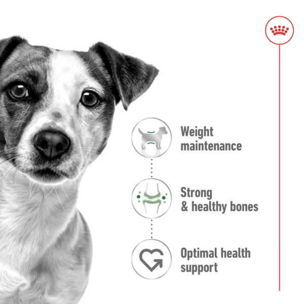 Royal Canin - Mini Adult - Image 3