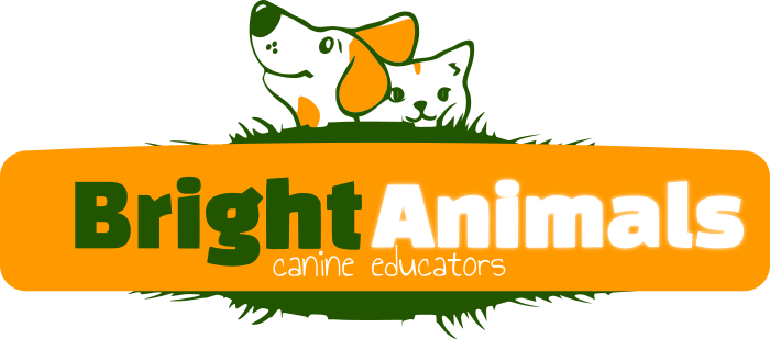 Bright Animals AE Shop