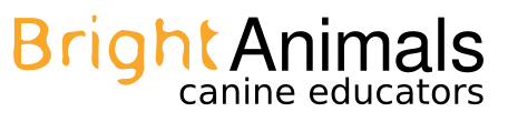 Arabic Dog Training Online